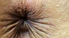 close up butthole winking