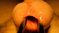 Urethral Sounding And Stretching With Cumshot