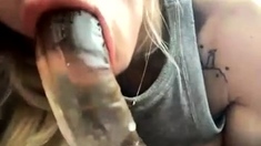 Amateur Blonde Blowjob CIM