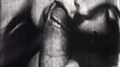 Amateur MILF blowjob cumshot