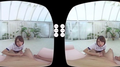 Japanese blowjob and handjob