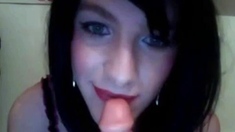 POV Blowjob with Mister Do