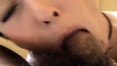 Japanese Amateur Blowjob Cum in Mouth