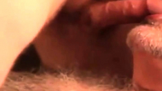 daddy bear sucking cock and cumming on his beard