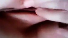 Swedish Svensk Cucumber Gurka